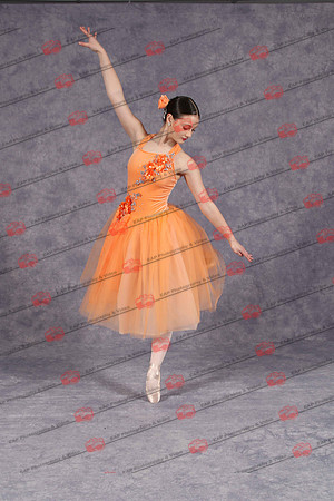 DSSIMG_2263