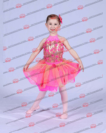 FDCIMG_0800