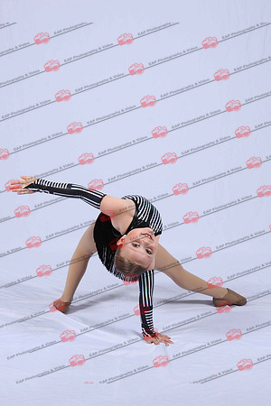 DSDIMG_1348