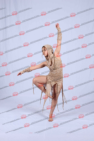 DSDIMG_1211