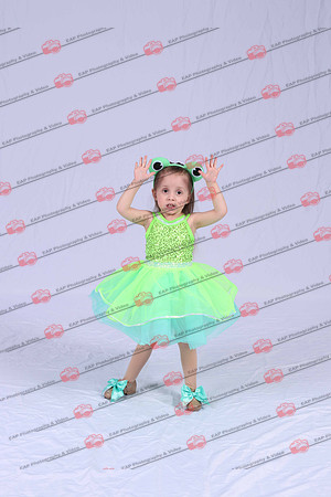 SEDIMG_1291