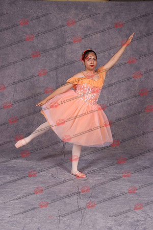 PDCIMG_0869