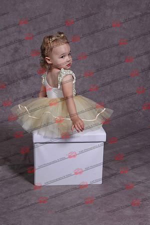 SASIMG_1394