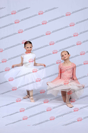 DSDIMG_1259