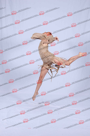 DSDIMG_1208