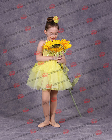 MSDIMG_0305