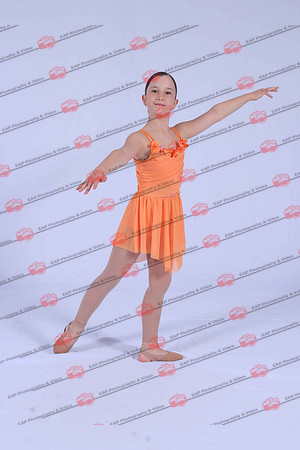TPSIMG_1853