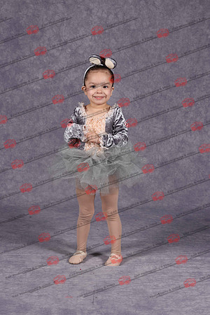 JADIMG_0296