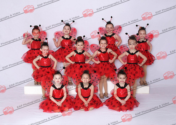DWK EAP 29
