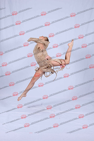 DSDIMG_1209