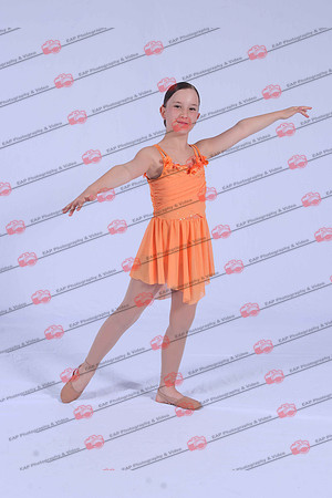 TPSIMG_1855