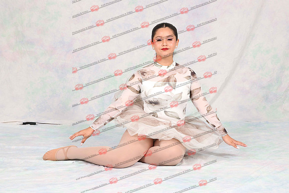 PFDIMG_0885