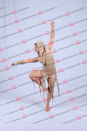 DSDIMG_1210