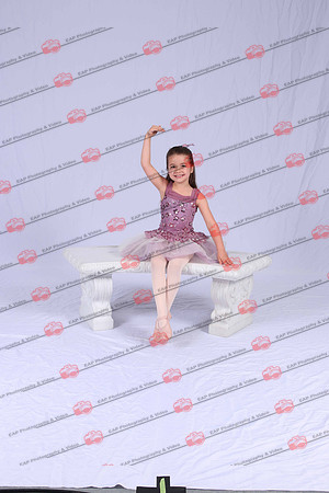 SEDIMG_1335